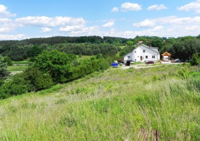 działka na sprzedaż - Torzym