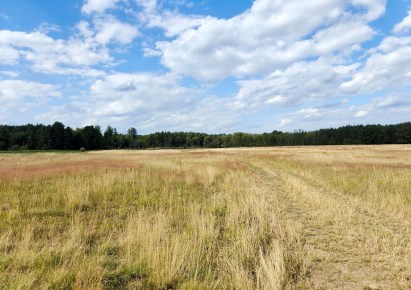 działka na sprzedaż - Dobra (Szczecińska), Stolec