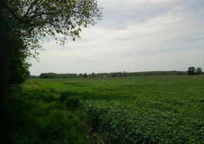 działka na sprzedaż - Kamień Pomorski (gw), Połchowo